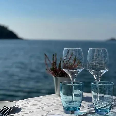 Mary & Private Free Parking Apartment Rovinj