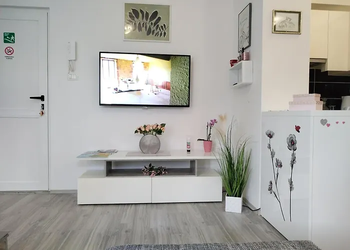 Studio apartment Mari&parking free Rovigno