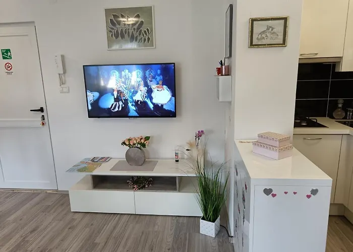 Studio apartment Mari&parking free Appartamento *