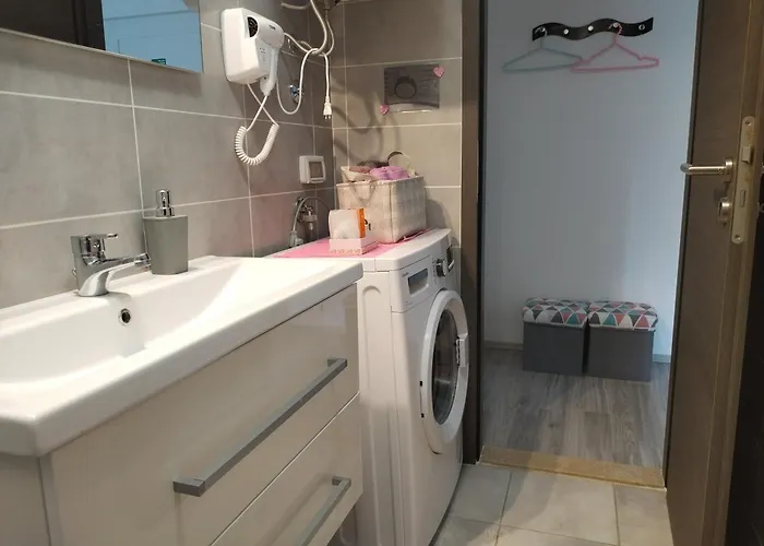 Studio apartment Mari&parking free Rovigno