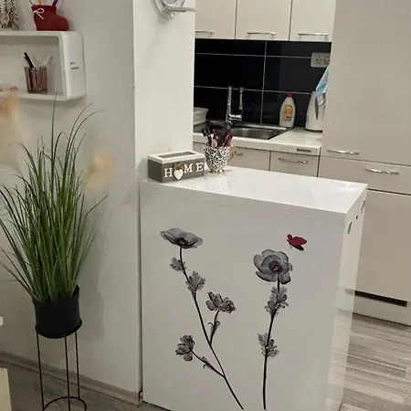 Mary & Parking Free Apartament Rovinj